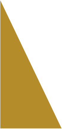 rect1.png
